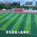 50mm足球場人造草坪足球場仿真草坪