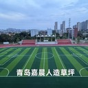 50mm充砂型足球場人造草坪足球場仿真草坪