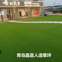 露營(yíng)地人造草坪庭院廣場(chǎng)休閑景觀綠化人造草坪