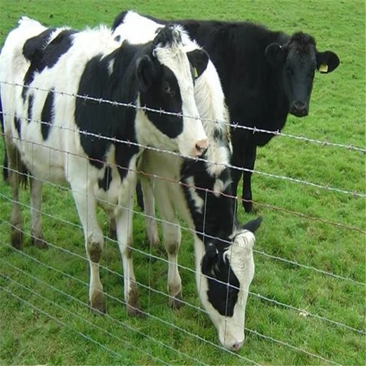 阿壩州牧場圈地鋼絲網(wǎng)編織草原網(wǎng)草場圈地牛欄網(wǎng)鋼絲圍欄草原網(wǎng)