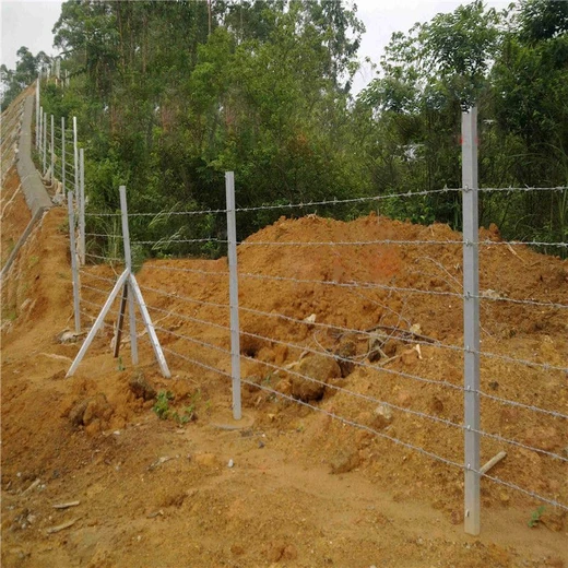 果園圈地刺繩鐵絲網(wǎng)護欄網(wǎng)防攀爬鐵蒺藜農場(chǎng)圈地鋼絲圍網(wǎng)