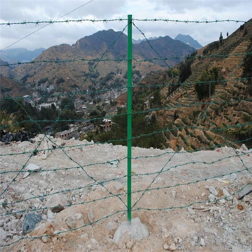 果園農(nóng)場(chǎng)圈地包塑刺繩護(hù)欄網(wǎng)熱鍍鋅刺繩鐵蒺藜刺繩圈地網(wǎng)