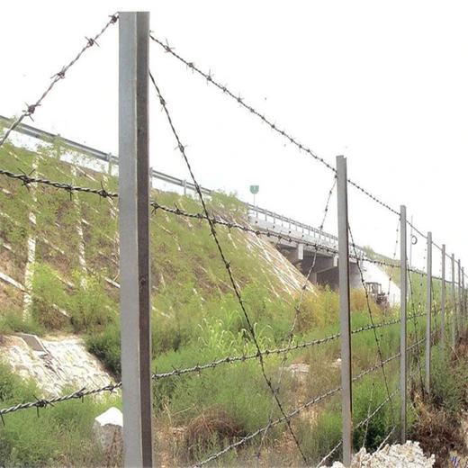 牧場(chǎng)圈地刺繩鐵絲網(wǎng)護欄網(wǎng)圈山圍地鋼絲圍網(wǎng)刺鐵絲圍網(wǎng)刺繩圍欄