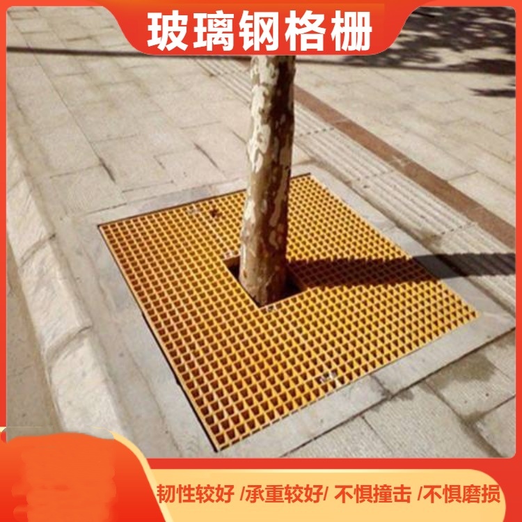 40316.jpg 259485264.jpg