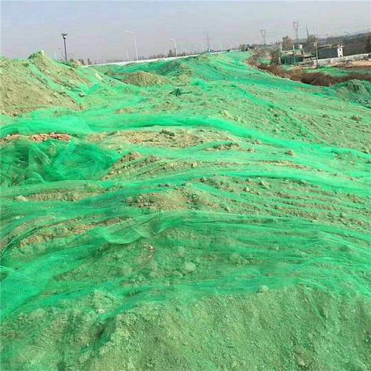 成都工地防塵蓋土網(wǎng)批發(fā)商家綠色尼龍網(wǎng)防揚塵蓋土蓋沙網(wǎng)