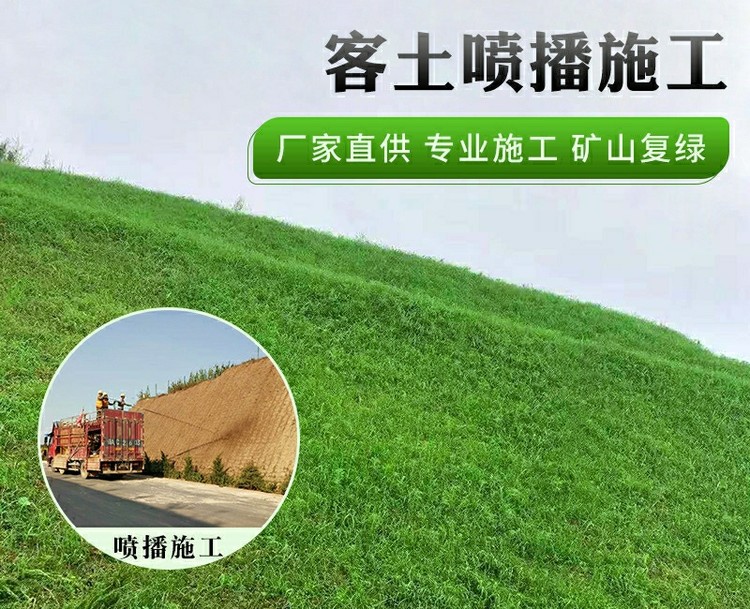 59373.jpg@750w_750h_90Q