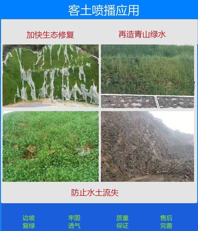 96438.jpg@750w_750h_90Q