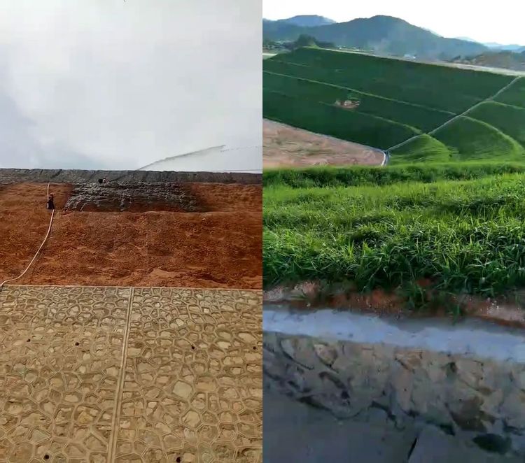 07065.jpg@750w_750h_90Q