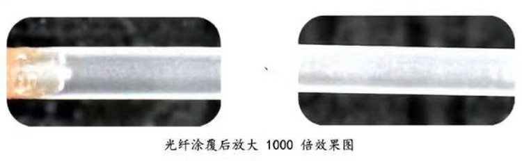1754124694559795.png@750w_750h_90Q