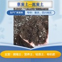 重慶屋頂輕質(zhì)土基質(zhì)土育苗基質(zhì)腐殖土生產(chǎn)廠家地址