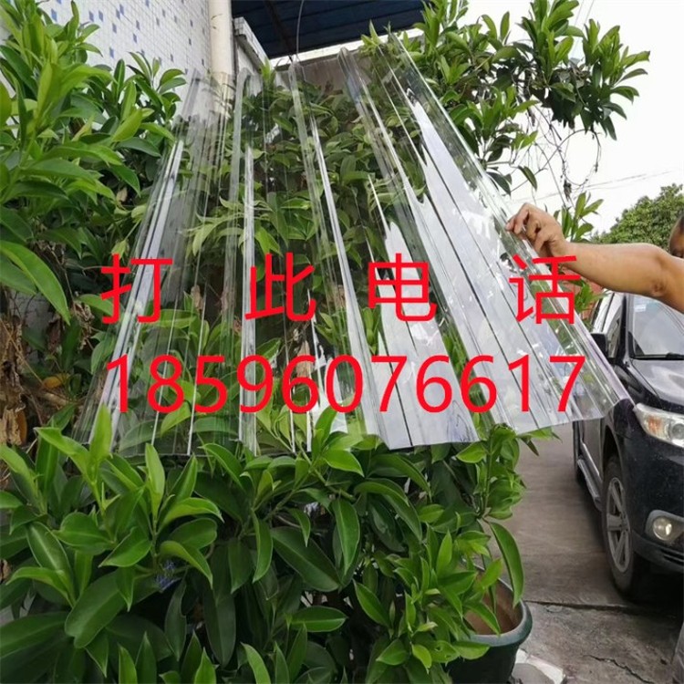 17446.jpg@750w_750h_90Q