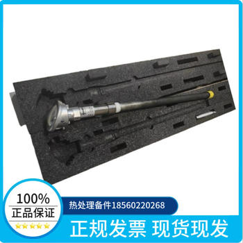 德國進(jìn)口氧探頭TQ/RTQ10號爐用傳感器