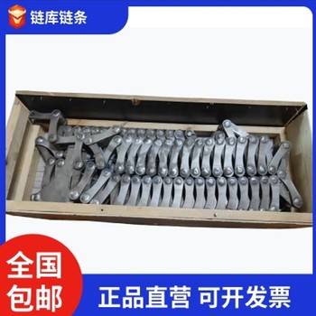 易普森TQ/RTQ爐型10號(hào)爐用鏈條