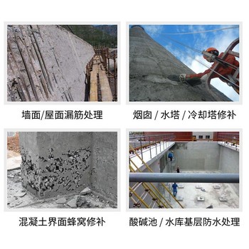 利鼎無溶劑環(huán)氧高強膩子橋梁混凝土水利大壩刮涂修補膏