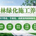豐臺區(qū)城市園林綠化養(yǎng)護(hù)市政道路綠化帶公園等一站式服務(wù)