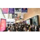 香港球燈展.png