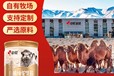 駱駝奶粉代加工甘肅中駝駝奶粉代加工廠家