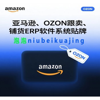 跨境電商亞馬遜鋪貨自建鏈接ERP工具