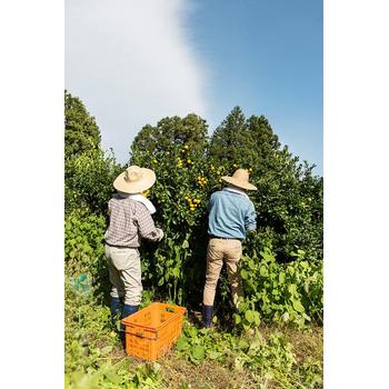普通人任何出國(guó)勞務(wù)打工包吃包住年掙30萬(wàn)