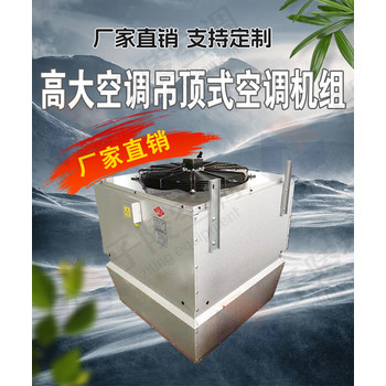 高大空間采暖單元機組高大空間采暖設(shè)備工業(yè)水空調(diào)