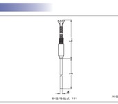 國產熱電偶定制WRNK-181