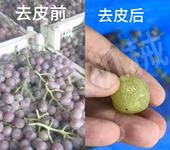 山東明貴葡萄去皮設備蒸汽去皮機時產3噸
