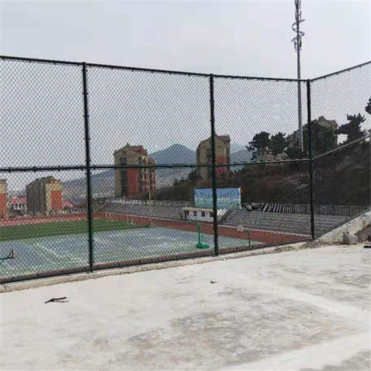 操場圍網(wǎng)公園球場護欄低碳鋼絲網(wǎng)可定制顏色