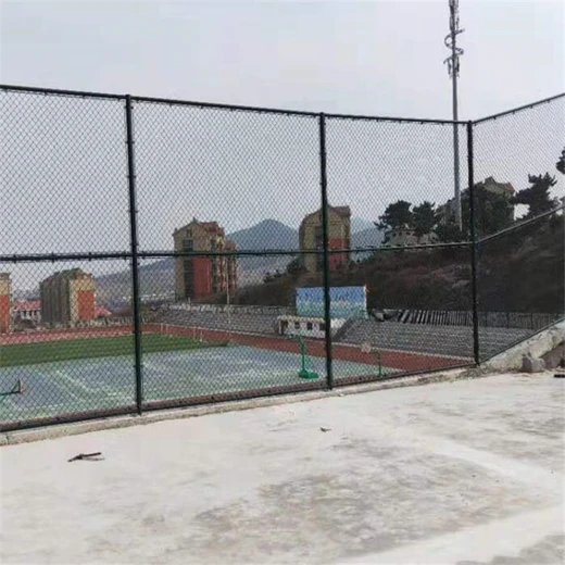 遼源足球場圍網(wǎng)PE包塑圍欄支持定制