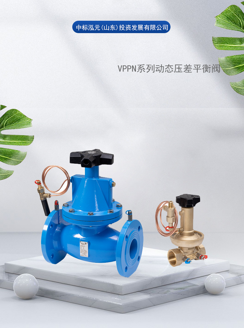 VPPN_01.jpg