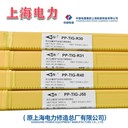 代理電力焊材PP-MG55-B2-MnV焊絲R31耐熱鋼電焊絲1.2