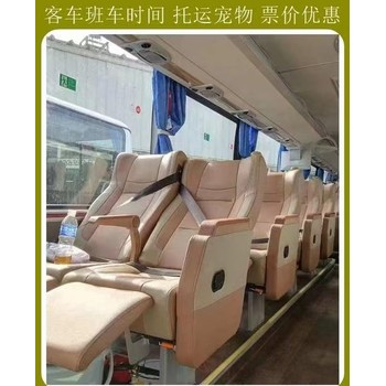 倉(cāng)南到潮州的客車、汽車、大巴車