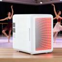 卡麗斯塔4L迷你車載小冰箱