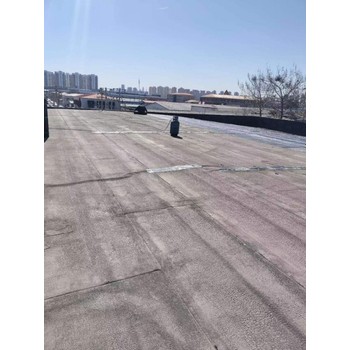 寧河屋面防水維修防水補漏工程防水別墅防水修繕