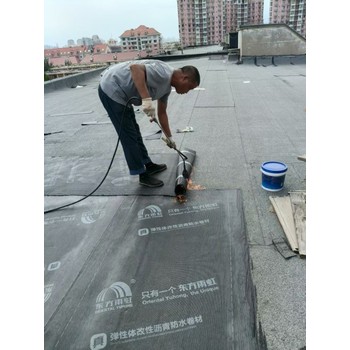 濱海新區(qū)屋面防水維修屋頂防水鋪油氈工程防水別墅防水