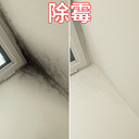 深圳刷墻師傅電話,深圳墻面刷新,福田南山羅湖墻面除霉菌