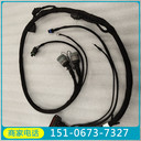 QSK50潤滑油泵5541828配置EH3500ACⅡ礦用自卸車(chē)物料