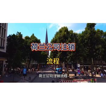 荷蘭公司秩序的詳細流程！