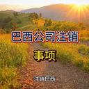 巴西注銷公司的注意事項(xiàng)！