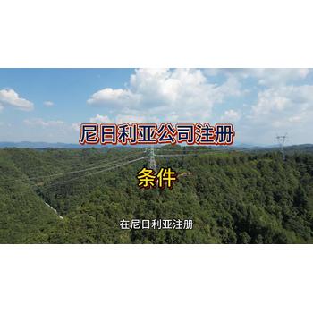 尼日利亞注冊公司條件！