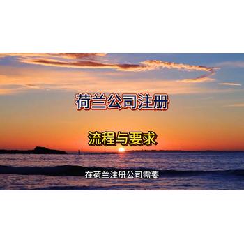 荷蘭公司注冊的流程與要求！