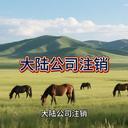大陸公司如何注銷？