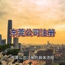東莞公司注冊(cè)全程流程！