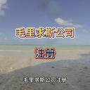 毛里求斯公司注冊(cè)的流程及要求！
