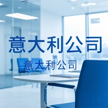 意大利公司做賬報(bào)稅服務(wù)