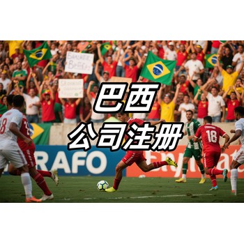 巴西公司審計(jì)
