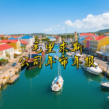 毛里求斯公司年審