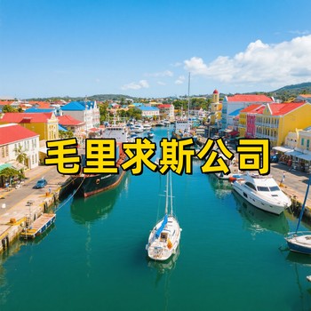 毛里求斯公司年審