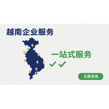 越南公司審計