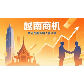 越南公司審計