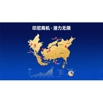 印度尼西亞公司注銷